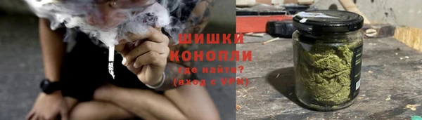 дживик Балахна